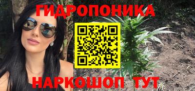 шишки Брянск