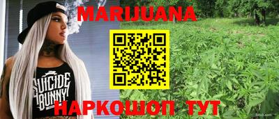 шишки Брянск