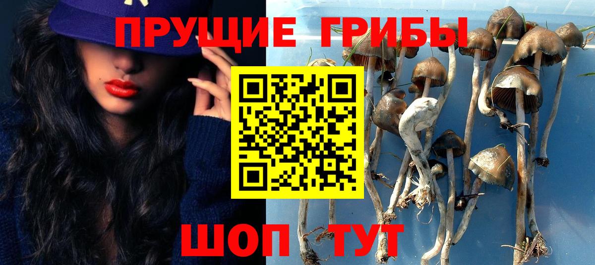 Архангельск  Псилоцибиновые грибы Cubensis  Вход с VPN 
